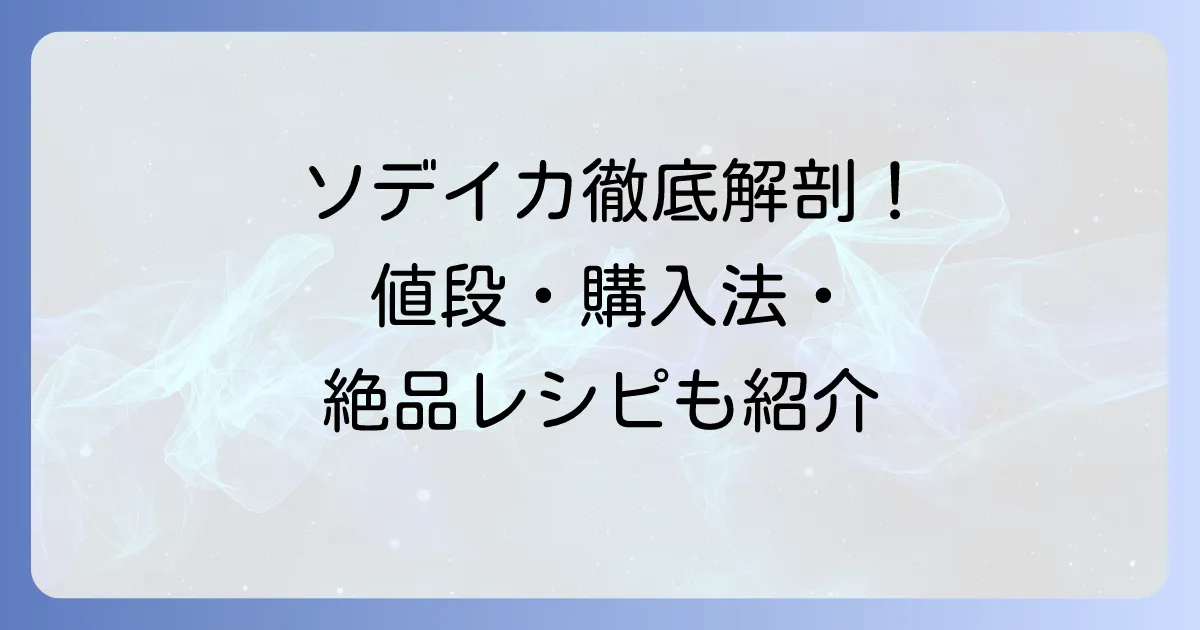 ソデイカの値段相場と購入方法を徹底解説！美味しい食べ方もご紹介