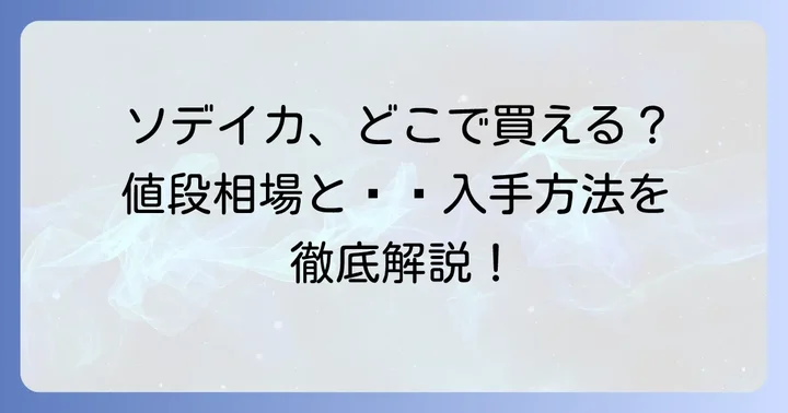 ソデイカの値段相場は？どこで買える？