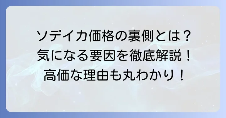 ソデイカの値段を決める主な要因