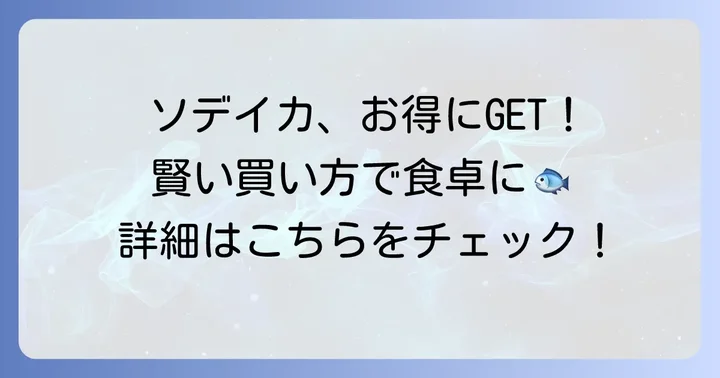 ソデイカをお得に手に入れるコツ