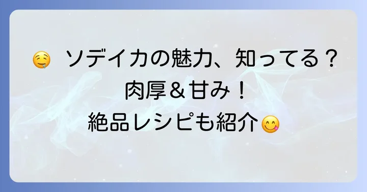 ソデイカの魅力と絶品レシピ