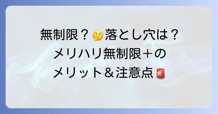 メリハリ無制限＋のメリットと注意点