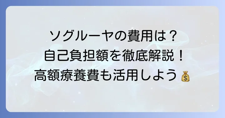 ソグルーヤの治療費と自己負担額を理解する