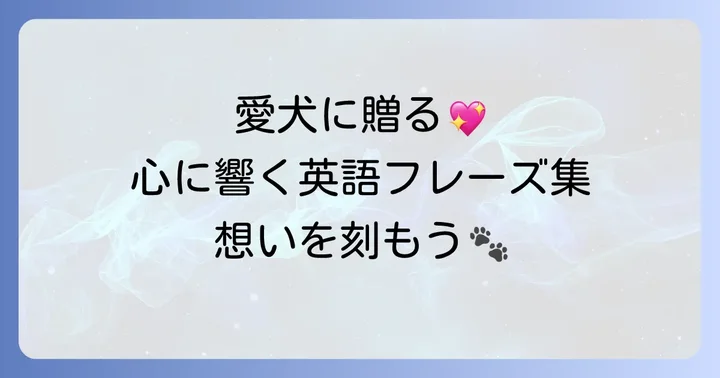 愛犬への深い愛情を伝える英語フレーズ集