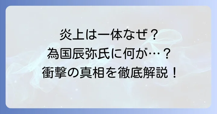炎上騒動が為国辰弥氏に与えた影響と世間の反応