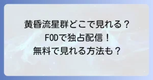 黄昏流星群ドラマの配信状況は？無料視聴方法と見れる動画サービスを徹底解説