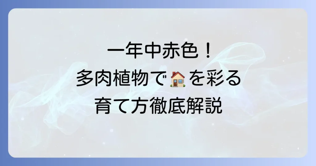 一年中赤い多肉植物の魅力と育て方！おすすめ品種と色を保つコツを徹底解説