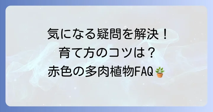 よくある質問