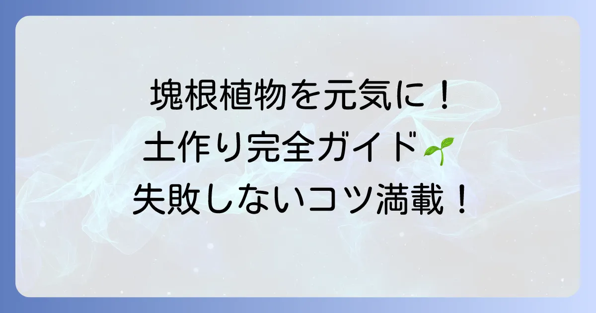 塊根植物用土配合の全て！健康な成長を促す最適な土の作り方