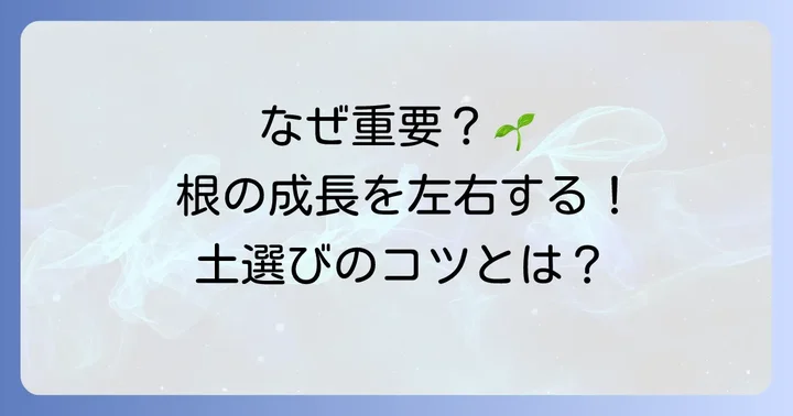 塊根植物の用土配合がなぜ重要なのか