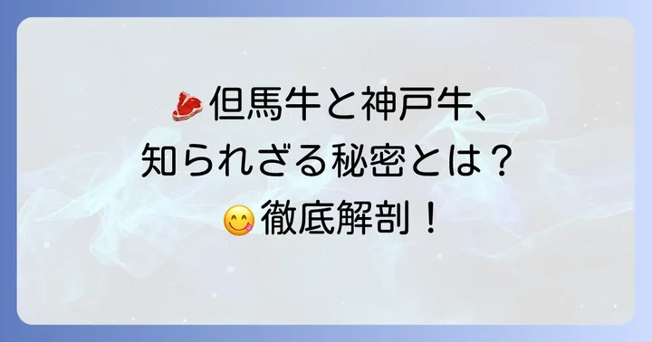 「但馬屋」で味わえるお肉の秘密：但馬牛と神戸牛の魅力