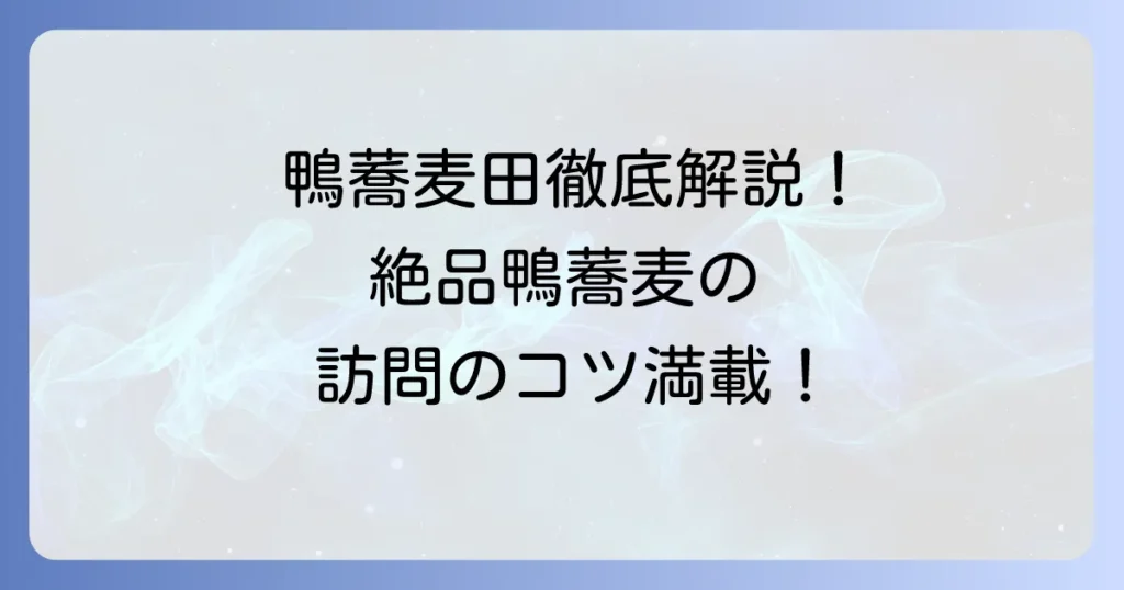 京都「鴨蕎麦 田」のクチコミ評判を徹底解説！絶品鴨蕎麦の魅力と訪問のコツ