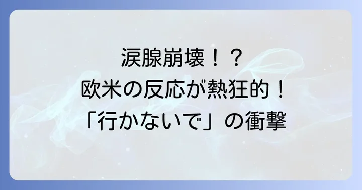欧米諸国での意外な評価と感動の声