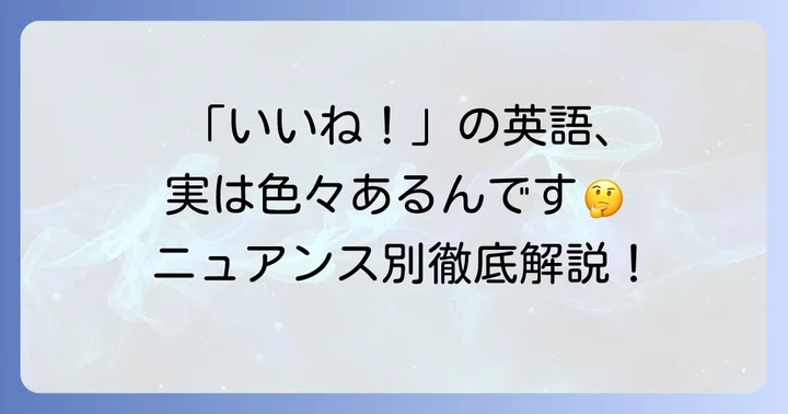 「気に入る」の英語表現とそのニュアンス