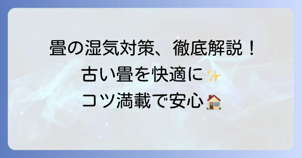古い畳の上に敷くもの選び方と湿気対策のコツを徹底解説