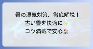 古い畳の上に敷くもの選び方と湿気対策のコツを徹底解説