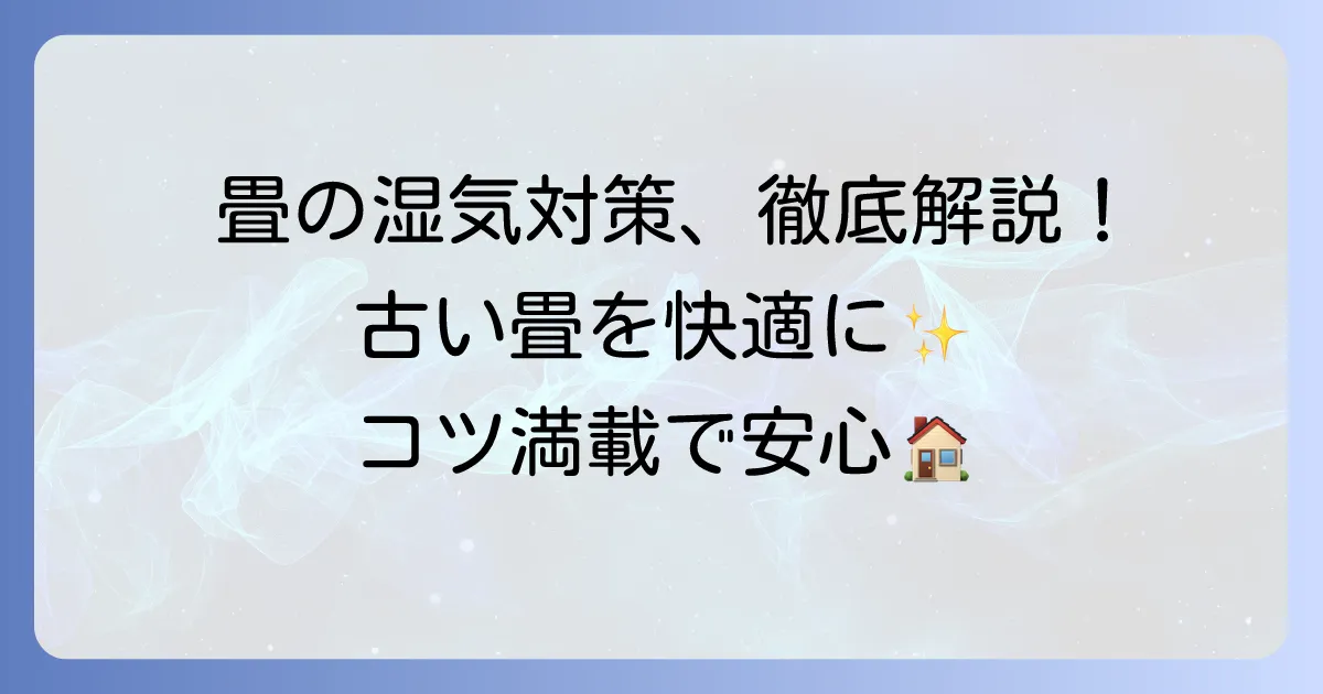 古い畳の上に敷くもの選び方と湿気対策のコツを徹底解説