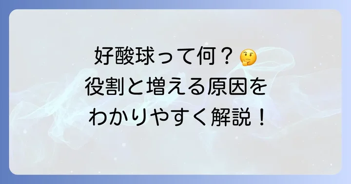 好酸球とは？その役割と増える原因を知ろう
