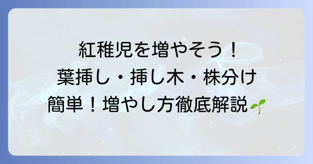 紅稚児の増やし方を徹底解説！葉挿し・挿し木・株分けで簡単に増やすコツ