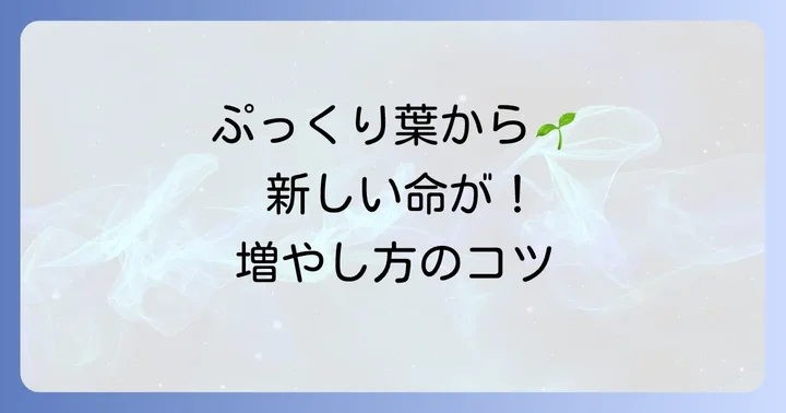 紅稚児の増やし方【葉挿し編】