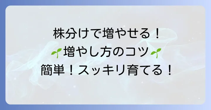 紅稚児の増やし方【株分け編】
