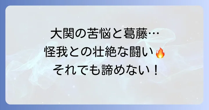 大関としての成績と怪我との闘い