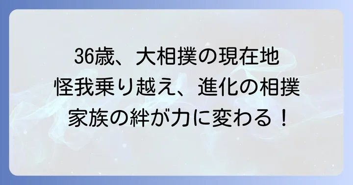 高安晃関の相撲人生と年齢による変化