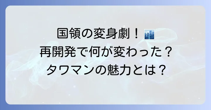 国領タワマンの基本情報と再開発で進化した街の魅力