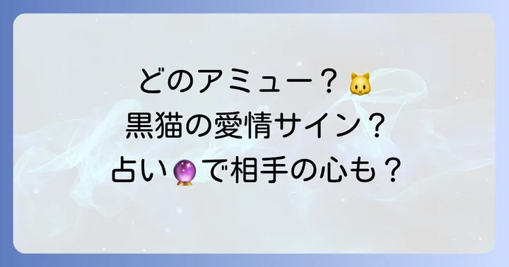 黒猫アミューとは？二つの「アミュー」の可能性