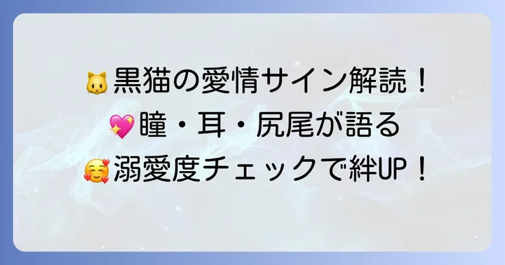 【部位別】黒猫が伝える「大好き」のサイン