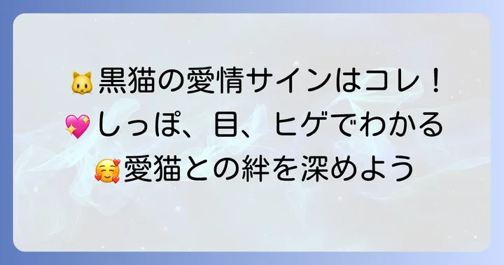 【行動別】黒猫が示す愛情表現の具体例
