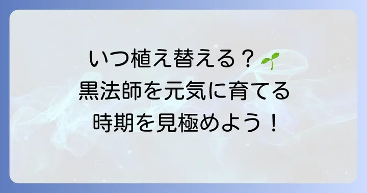 黒法師の植え替え時期はいつ？適切なタイミングを見極める