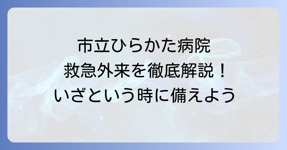 市立ひらかた病院救急外来を徹底解説！受診の流れから緊急時の判断基準まで