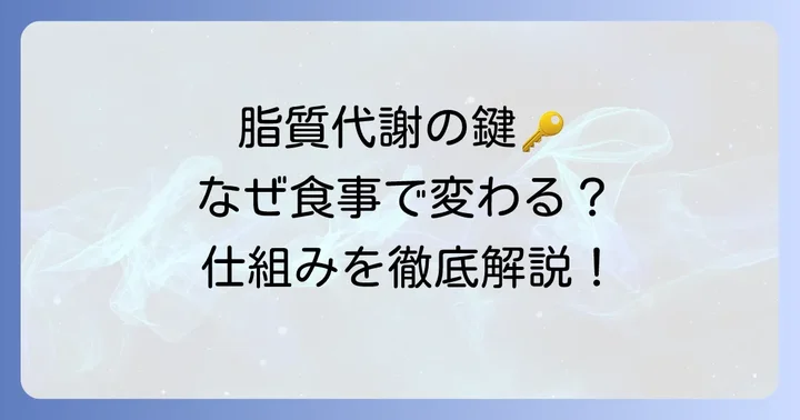 脂質代謝の基本を知ろう:なぜ食べ物が重要なのか