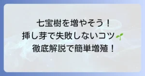 七宝樹の増やし方｜挿し芽で失敗しないための時期とコツを徹底解説