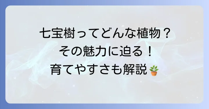 七宝樹とはどんな多肉植物？基本情報と魅力