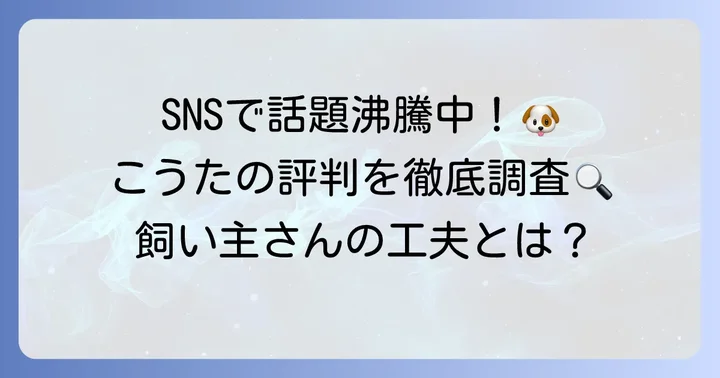 柴犬こうたの評判を徹底調査!SNSでの声と飼い主さんの工夫
