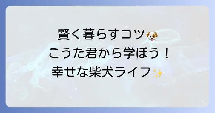 柴犬こうたから学ぶ!賢い柴犬との暮らしのコツ