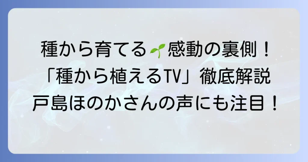 『種から植えるTV』ナレーションから学ぶ！成功する種まきの徹底解説