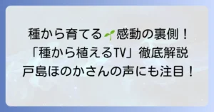 『種から植えるTV』ナレーションから学ぶ！成功する種まきの徹底解説