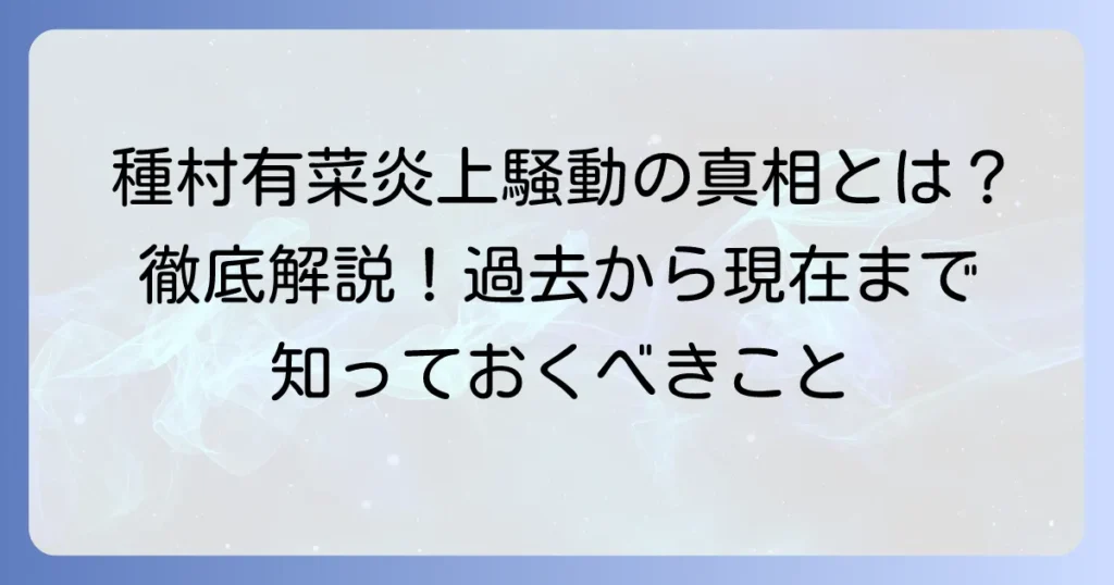 種村有菜炎上騒動の真相を徹底解説！過去の批判から現在の活動まで
