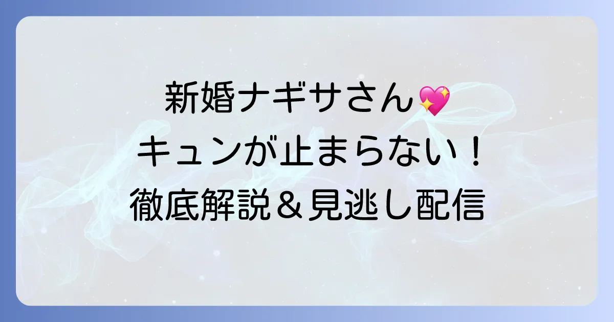 私の家政婦ナギサさんスペシャルドラマを徹底解説！見逃し配信やあらすじ、キャストも
