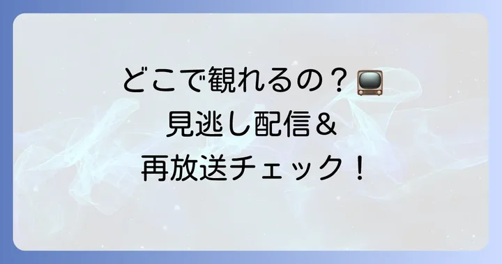 「私の家政婦ナギサさんスペシャルドラマ」を視聴する方法