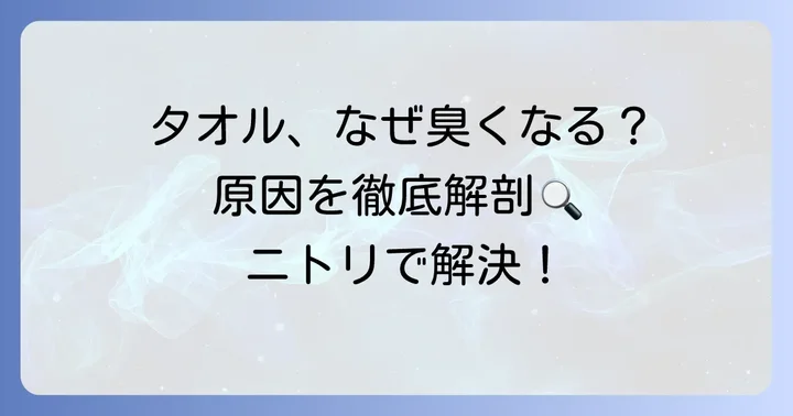 毎日使うタオル、なぜ臭くなるの?主な原因を解説