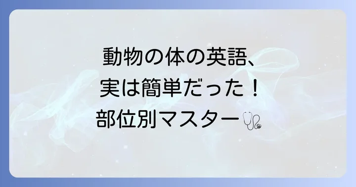 動物の身体部位に関する英語とカタカナ表記