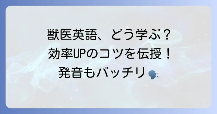 獣医英語を効率的に学ぶコツ
