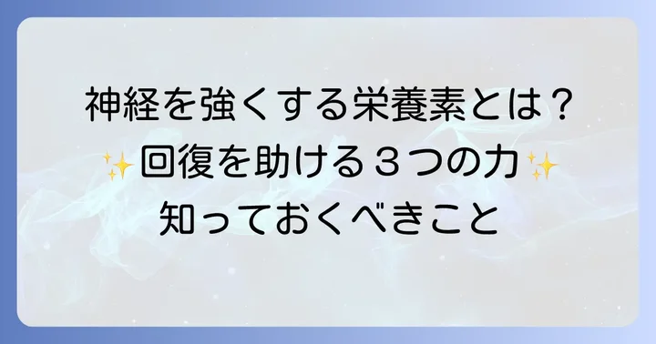 神経修復に不可欠な主要栄養素とその働き