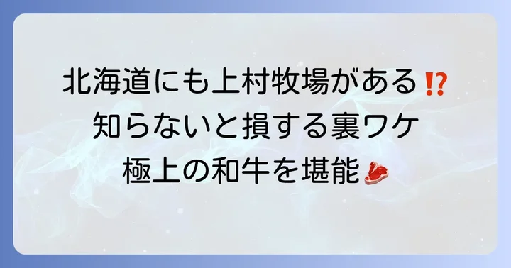 【補足】北海道の「白老和牛王国ウエムラ牧場」のランチ
