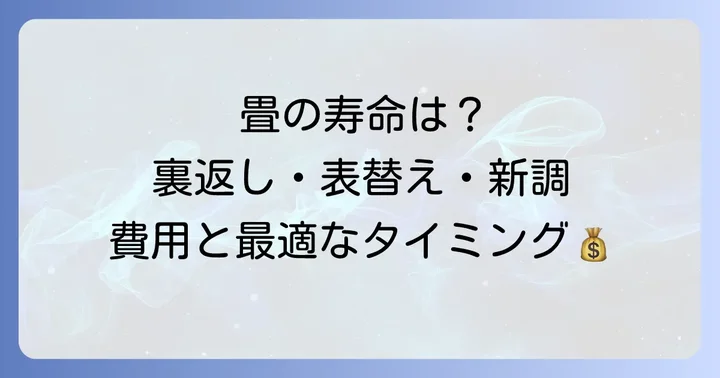 畳のメンテナンス方法別費用比較:裏返し・表替え・新調