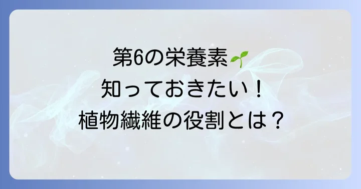 植物繊維とは？健康を支えるその重要な役割